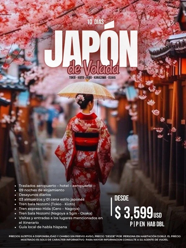 Japón de Verdad